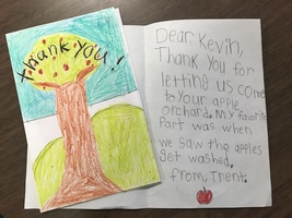 Apple to Thank You in 2nd Grade