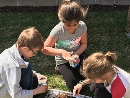 Spring Has Sprung! 1st Grade Gardeners